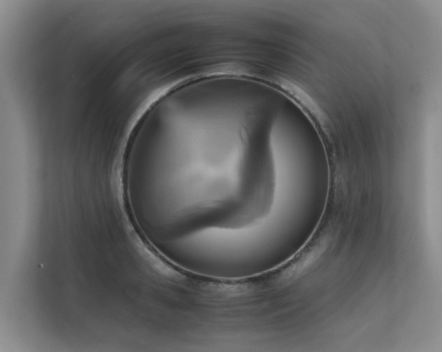 X0000111350941200907101207