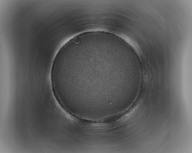 X0000111350943200907101207