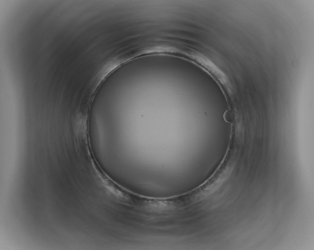 X0000111350945200907101207