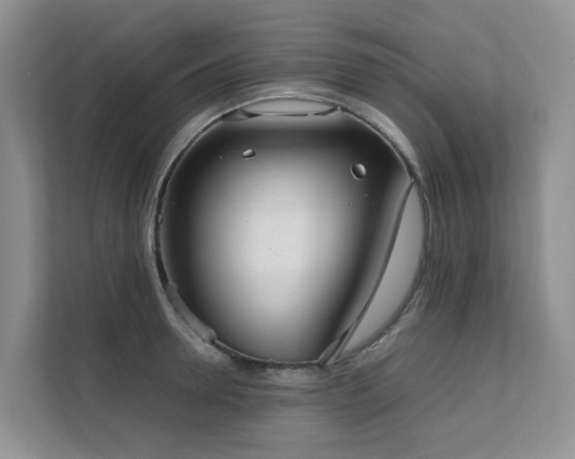 X0000111350946200907101207