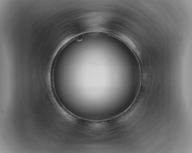 X0000111350947200907101207