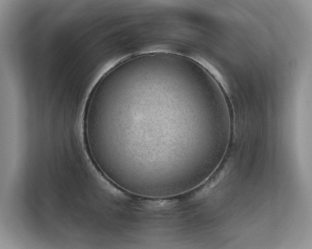X0000111350949200907101207