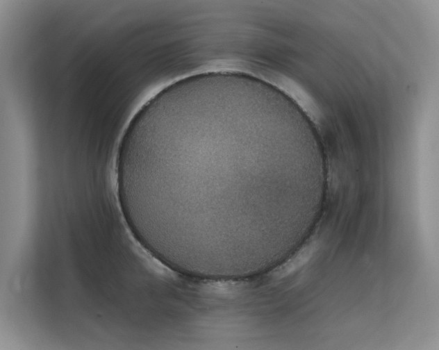 X0000111350950200907101207