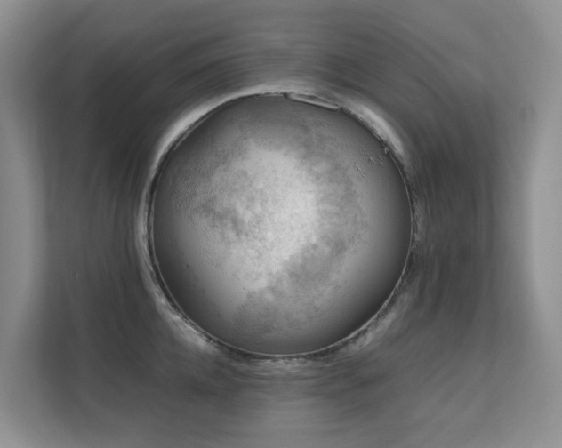 X0000111350952200907101207
