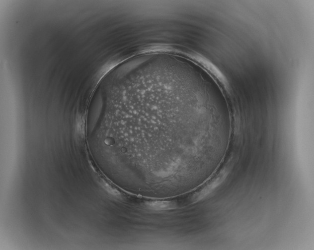 X0000111350953200907101207
