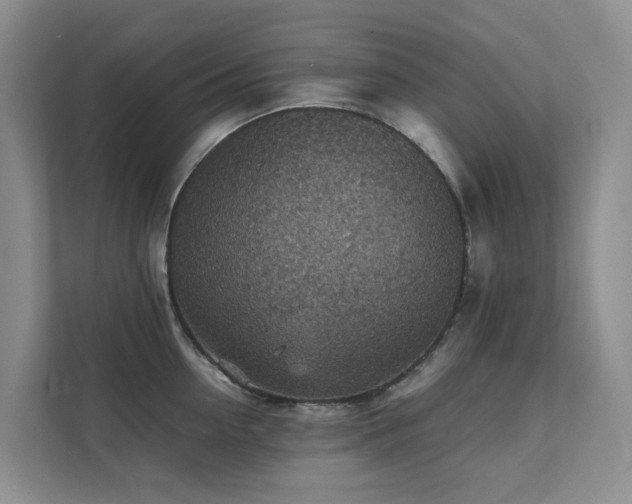 X0000111350954200907101207