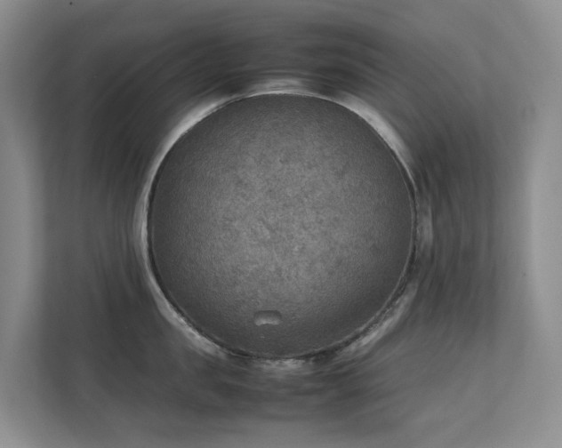X0000111350957200907101207