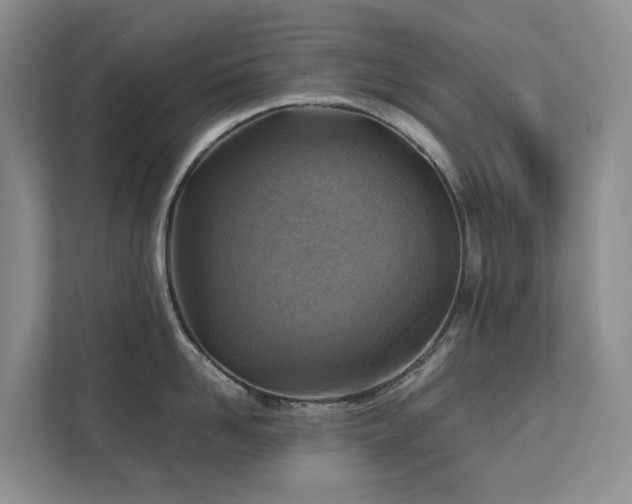X0000111350958200907101207