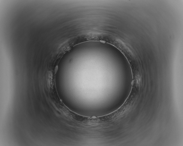X0000111350964200907101207