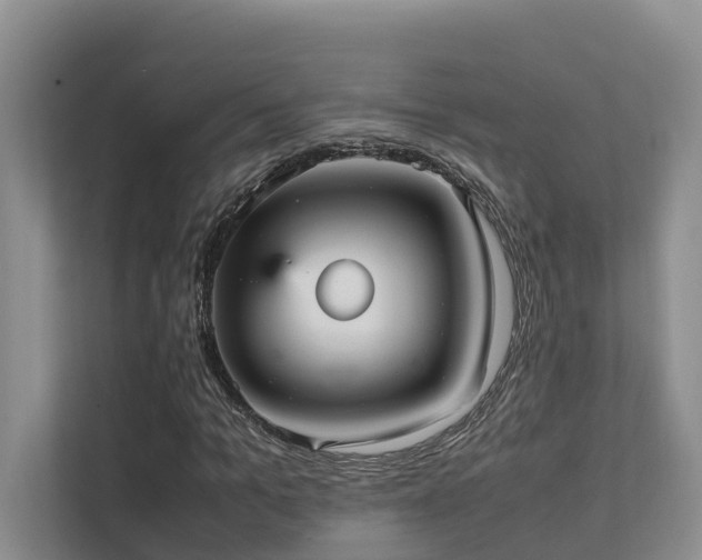 X0000111350965200907101207
