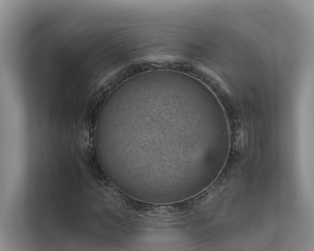 X0000111350966200907101207