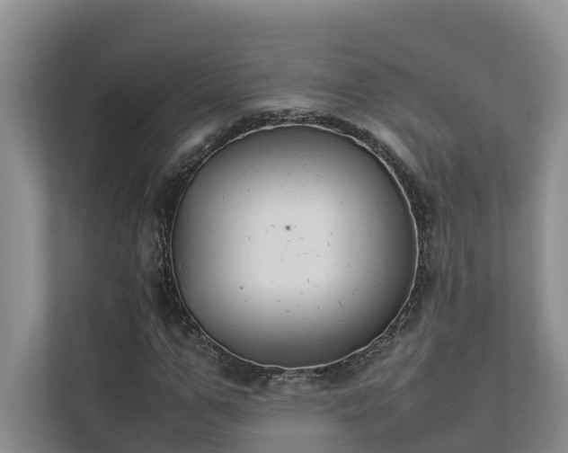X0000111350967200907101207