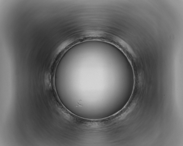 X0000111350970200907101206