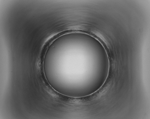 X0000111350971200907101206