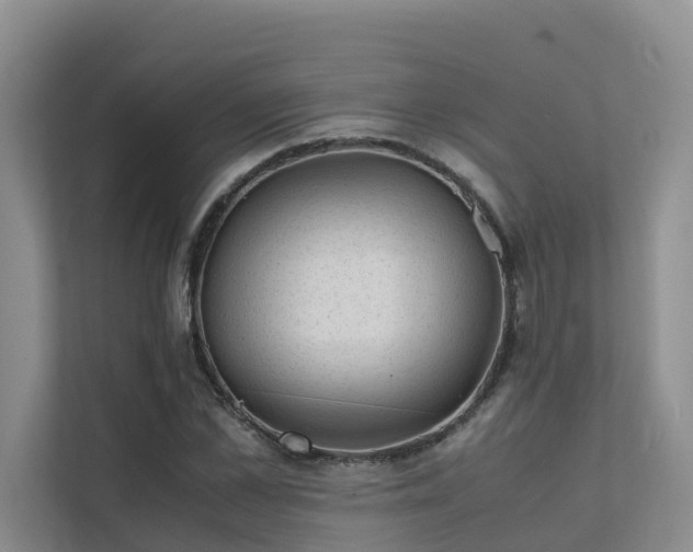 X0000111350973200907101206