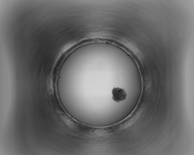 X0000111350974200907101206
