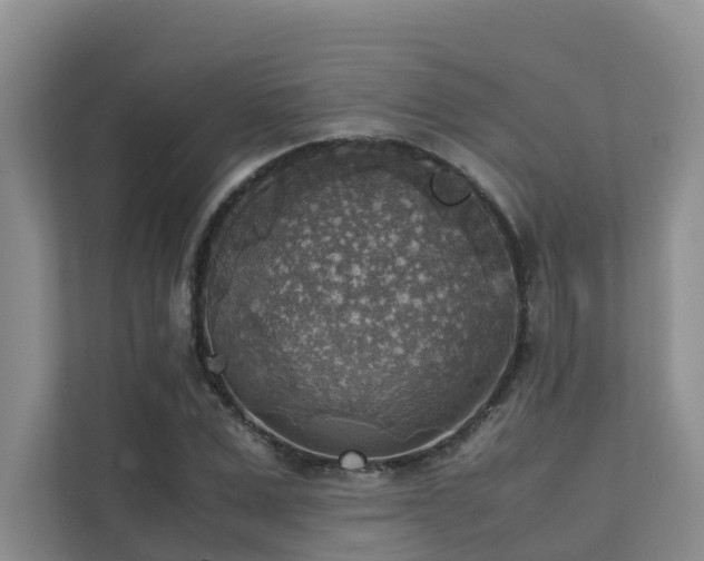X0000111350975200907101206