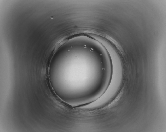 X0000111350977200907101206