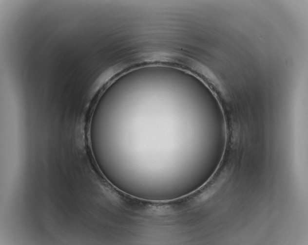 X0000111350978200907101206