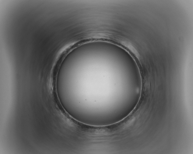 X0000111350979200907101206