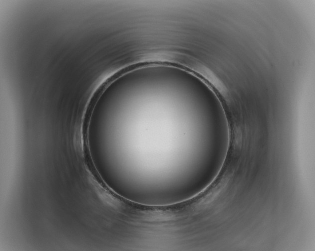X0000111350980200907101206