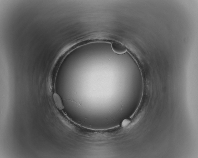 X0000111350981200907101206