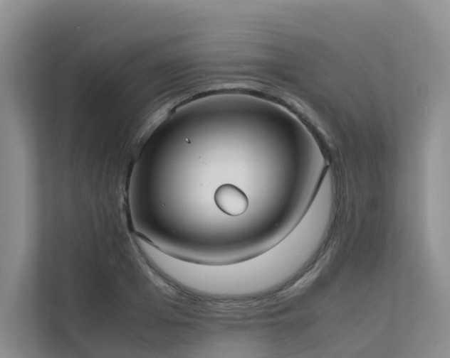 X0000111350985200907101206