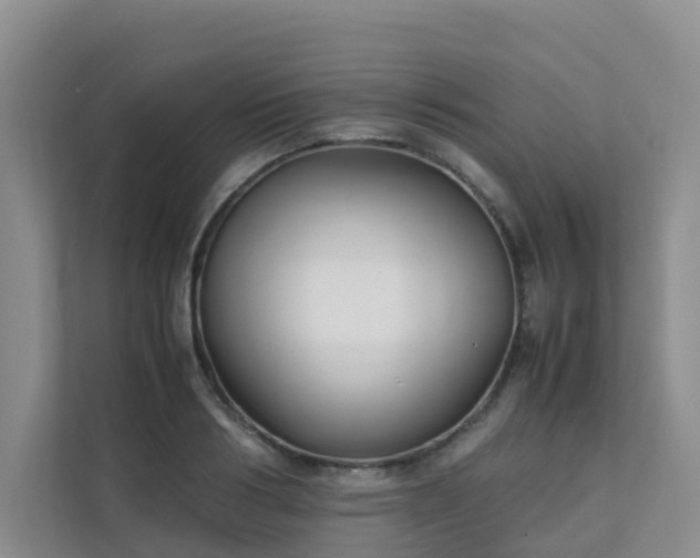 X0000111350986200907101206