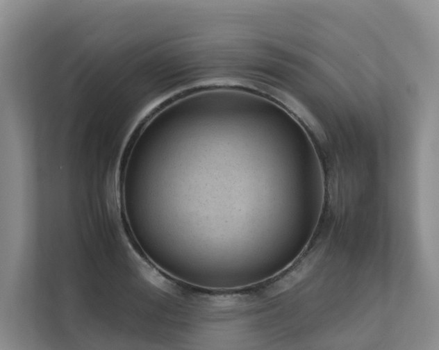 X0000111350988200907101206