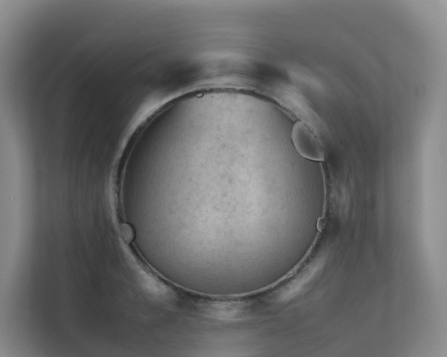 X0000111350989200907101206