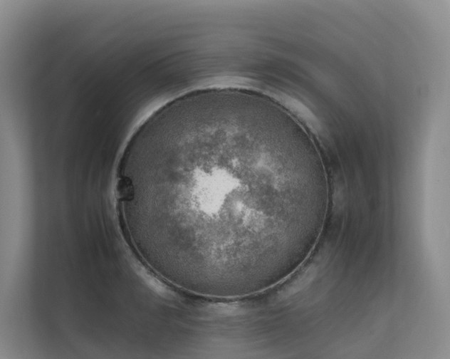 X0000111350990200907101206