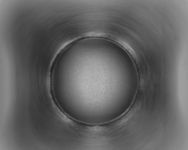X0000111350992200907101206