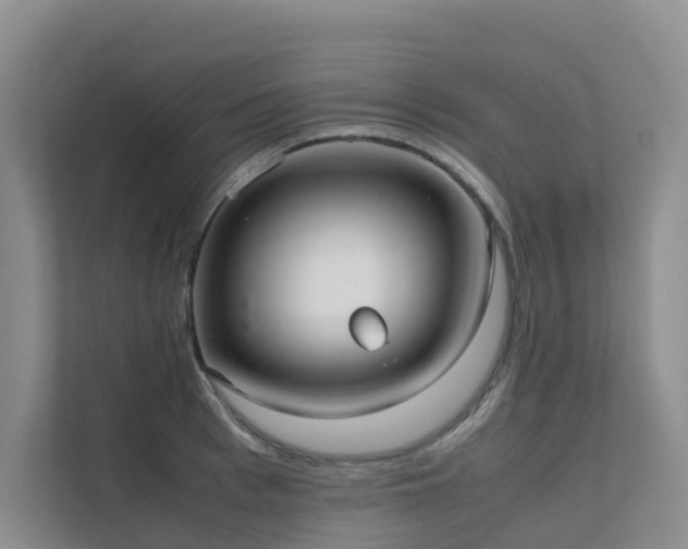 X0000111350993200907101206