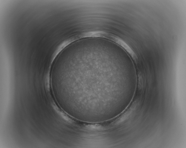 X0000111350994200907101206