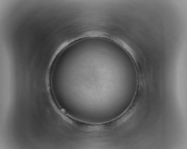 X0000111350997200907101206