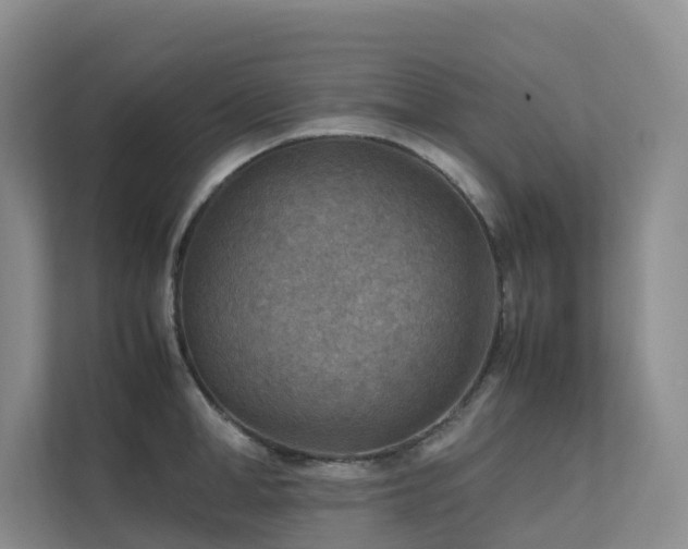 X0000111350998200907101206