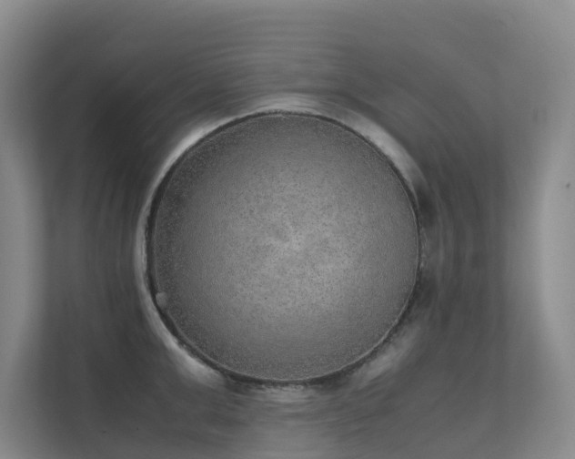 X0000111350999200907101206