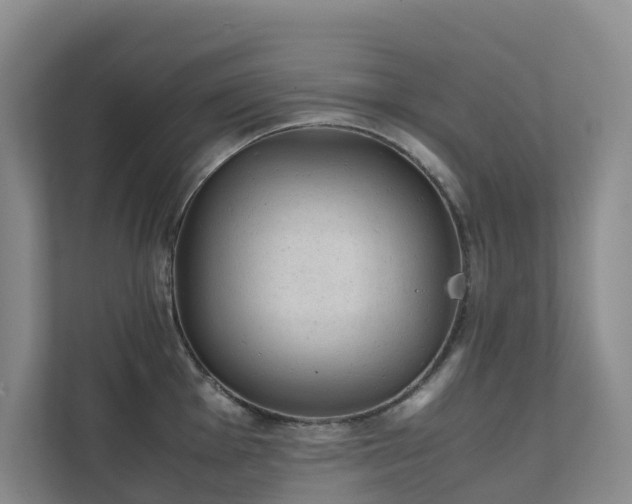 X0000111351001200907101206