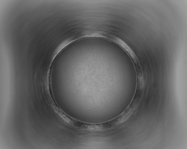X0000111351002200907101206