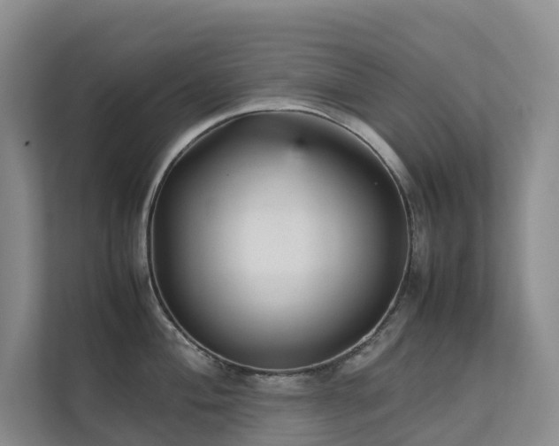X0000111351004200907101206