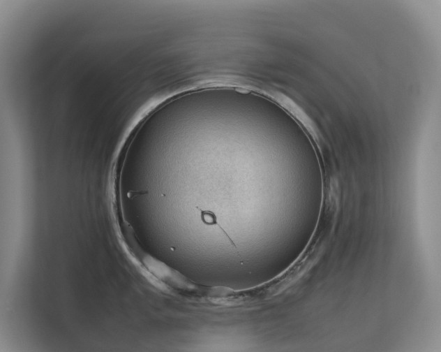 X0000111351005200907101206
