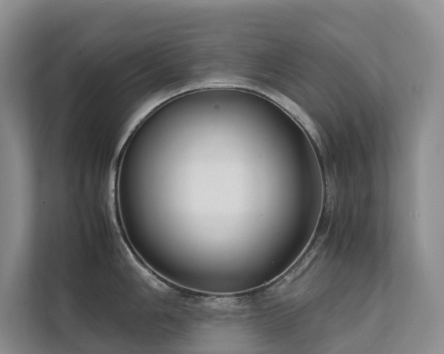X0000111351006200907101206