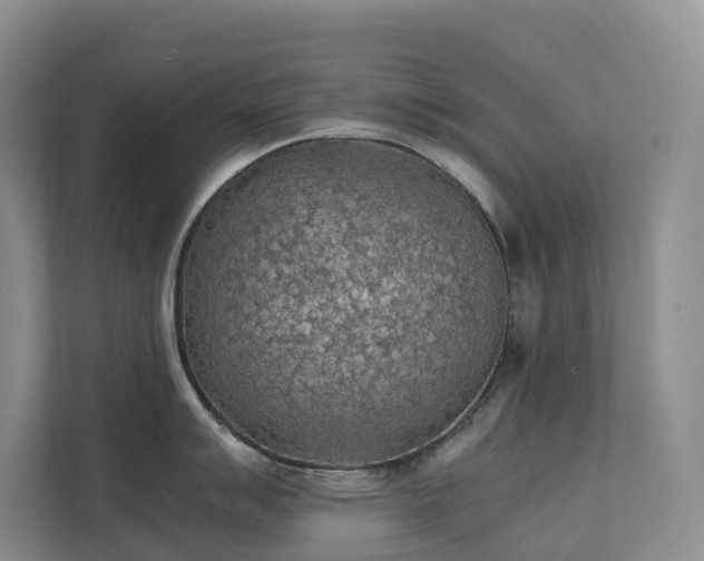 X0000111351007200907101206