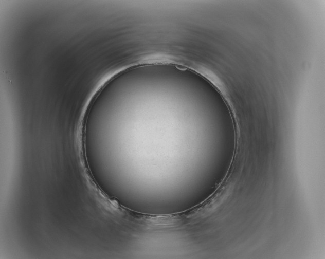 X0000111351008200907101206