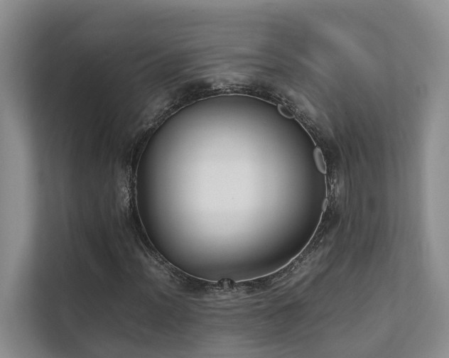 X0000111351012200907101205
