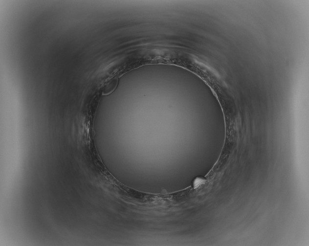 X0000111351013200907101205