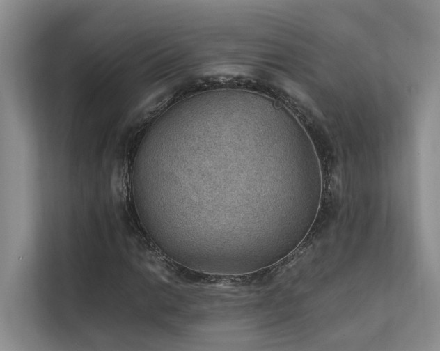 X0000111351014200907101205