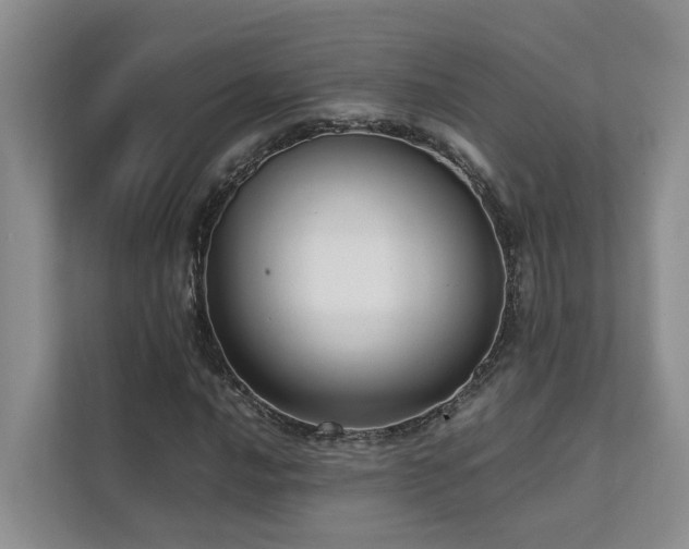 X0000111351016200907101205