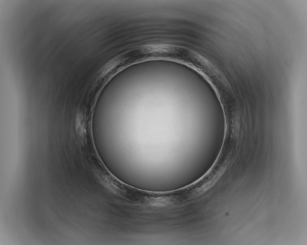 X0000111351017200907101205