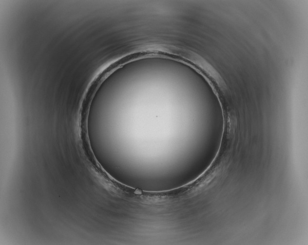 X0000111351020200907101206